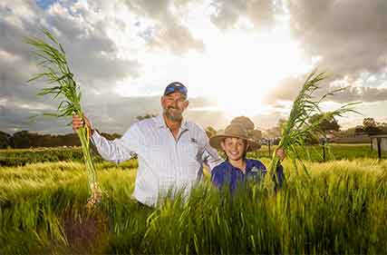 Plots to showcase new release cereal and pasture varieties 