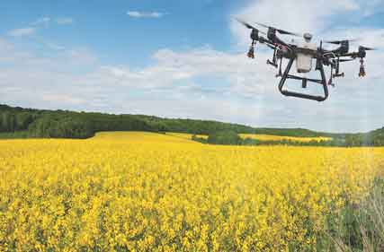 Agriculture lagging in adopting best practice in IP protection