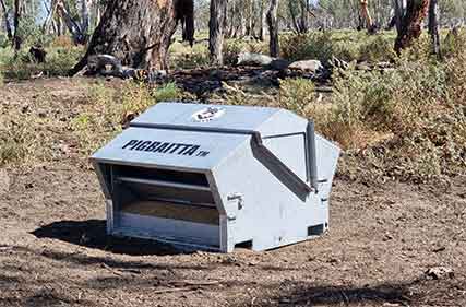 New feral pig bait delivery device entered for award 